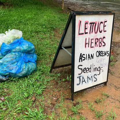 The hand painted farm sign listing lettuce, herbs, asian greens, seedlings and jams